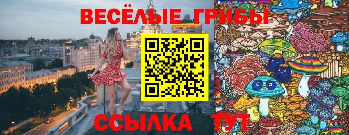 Галлюциногенные грибы прущие грибы Лянтор